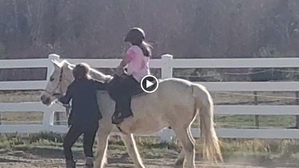 Upper Pond Stables