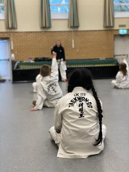 Hsts Taekwon-do