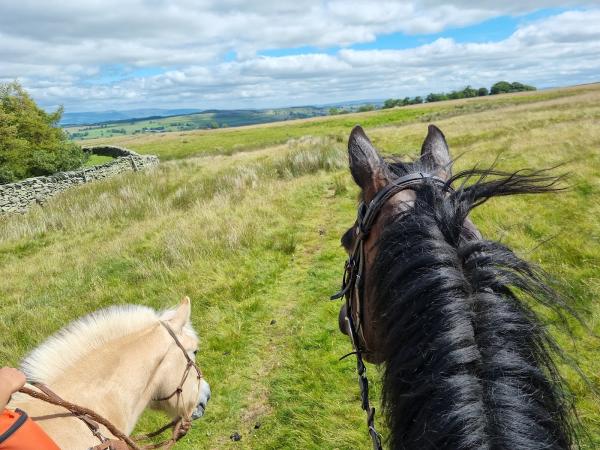 Lakeland Horse Trails