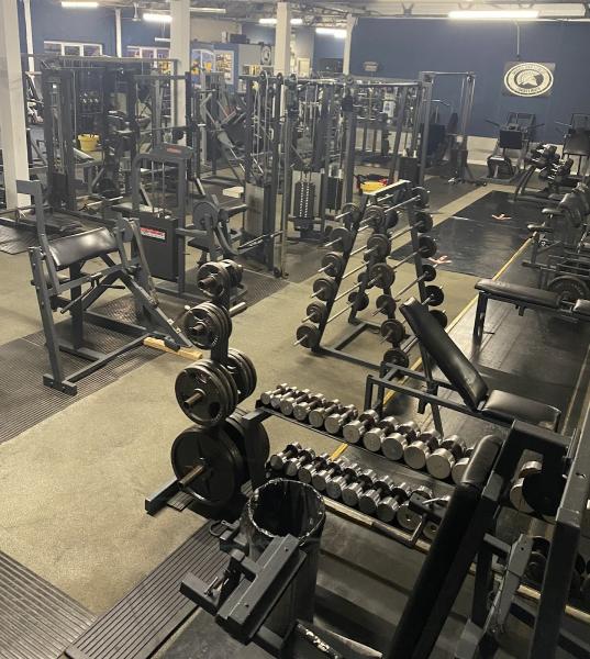 Muscle & Fitness Gymnasiums