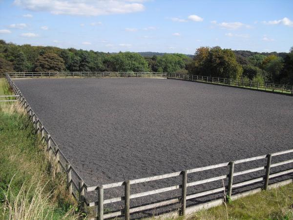Ryecroft Farm Livery
