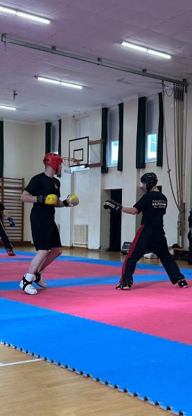 Dorking Freestyle Kickboxing Academy (Fka)