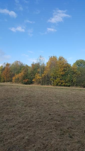 Exhall & Bedworth Riding Club Showground