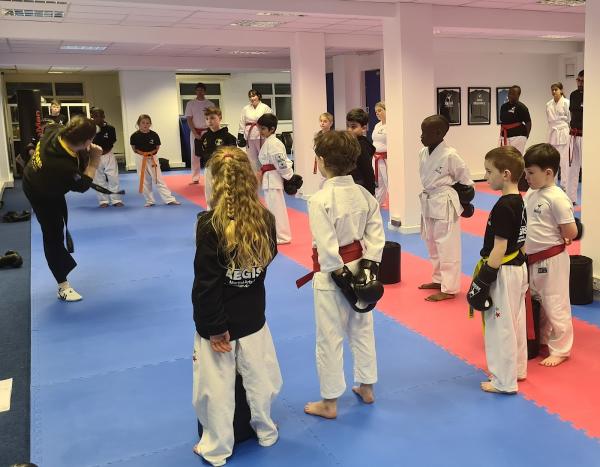 Leeds South Aegis Martial Arts