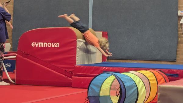 Harlow Gymnastics Club