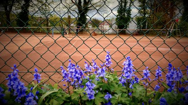 Highgate Cricket and Lawn Tennis Club