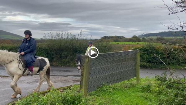 Braeden Pony Trekking Centre