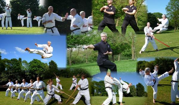 Mushin Martial Arts