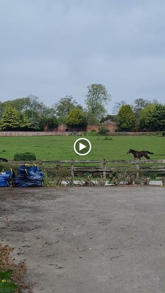 Oldmoor Farm Riding School