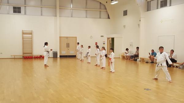 Plymouth Karate Academy