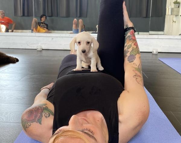 Puppy Yoga Leeds