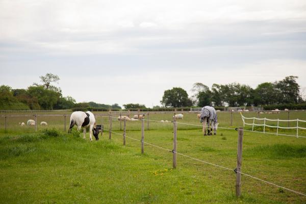 Curborough Equestrian