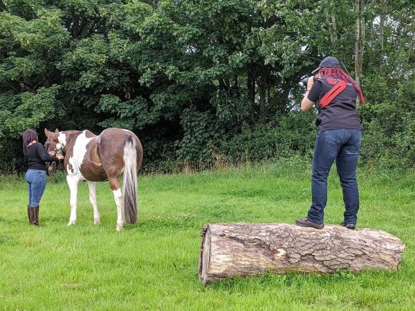 Smiths Green Livery & Riding Centre