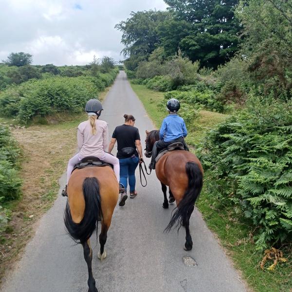 Shilstone Rocks Riding Centre