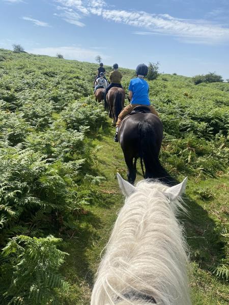 Shilstone Rocks Riding Centre