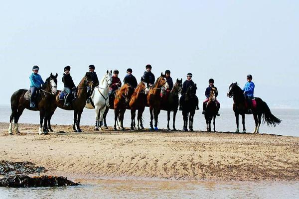 Finlake Riding Centre