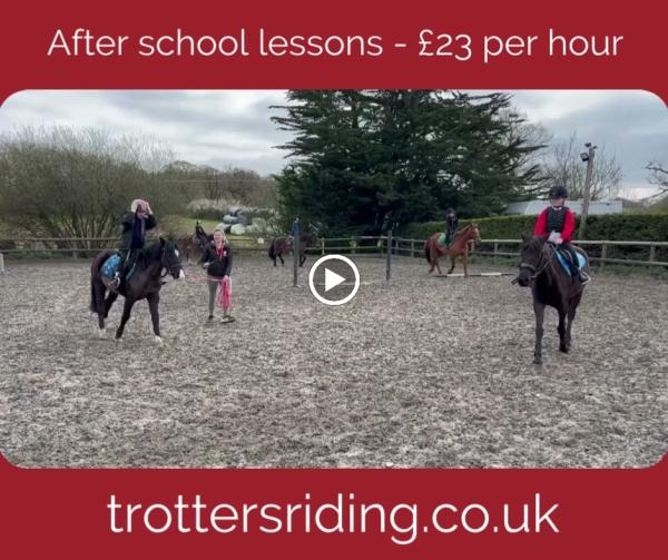 Trotters Riding School & Livery Yard