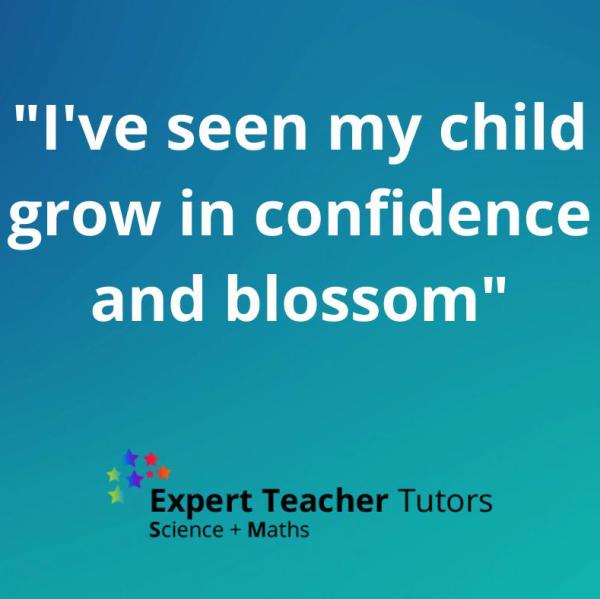 Expert Teacher Tutors