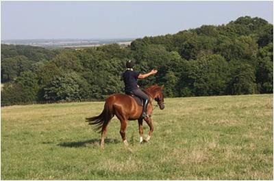 Pioneer Equestrian Coaching