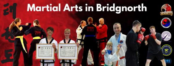 Excalibur Martial Arts & Junior Dragons Taekwondo Bridgnorth