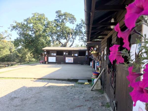 Buckswood Riding School