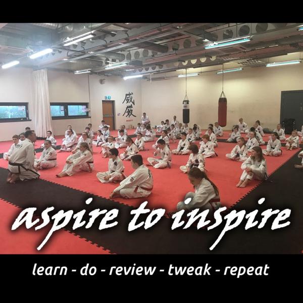 Verve Martial Arts (Hagley Taekwondo)