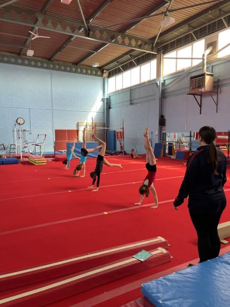 Carousel Gymnastics Club