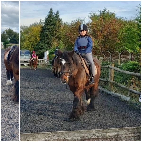 Calder Farm Stables