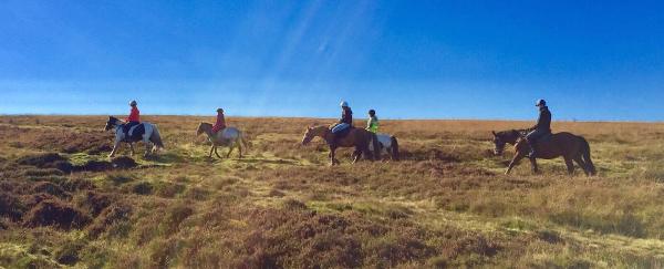 Brendon Manor Riding Stables