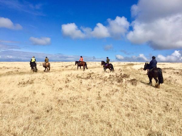 Brendon Manor Riding Stables