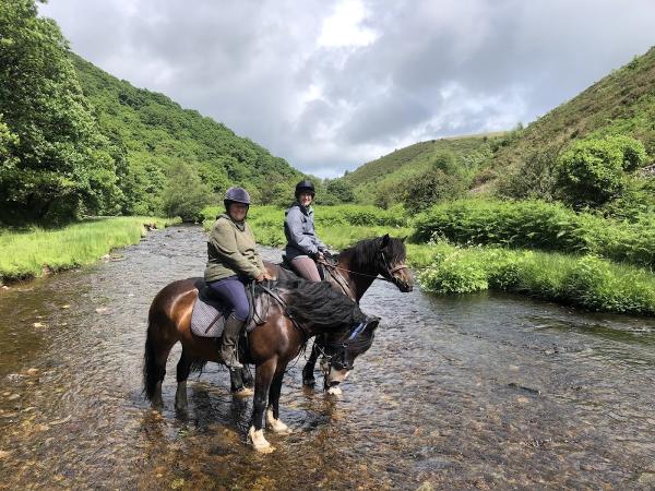 Brendon Manor Riding Stables