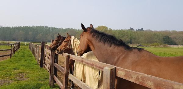 George Baker Racing LLP