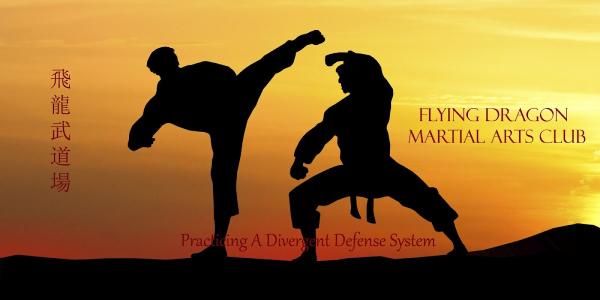 Flying Dragon Martial Arts Club (Hiryu Budou-Jyo)