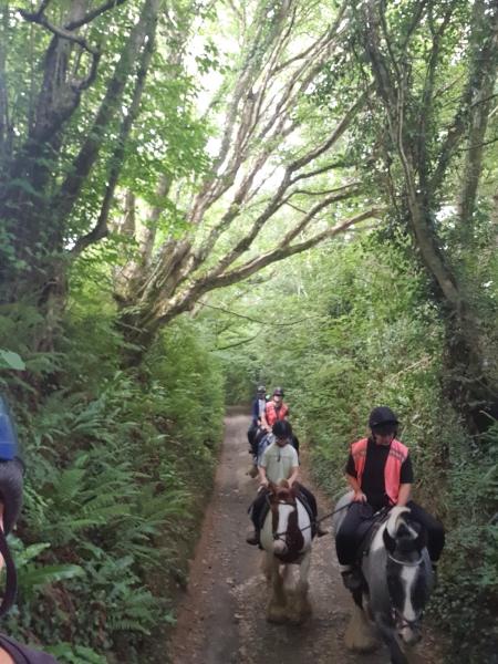 Bidlake Riding Stables