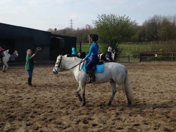 Lodge Riding Centre (Riding Lessons & Horse Livery)
