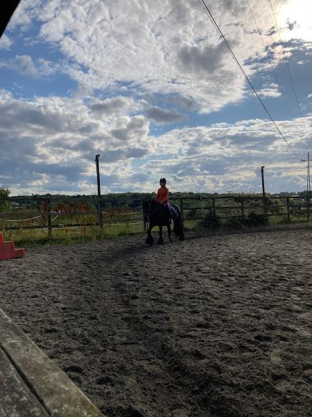 Northaw Manor Equestrian Centre