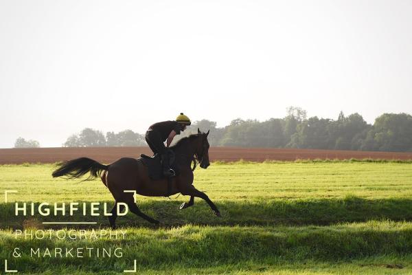 Henry Daly National Hunt Trainer