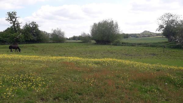 Caldecote Riding School