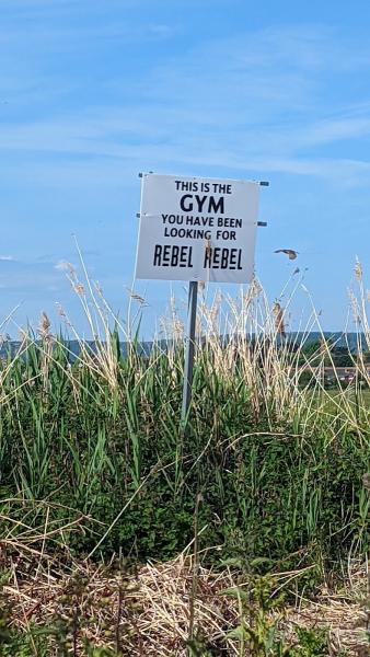 Rebel Rebel Fitness and Treatments