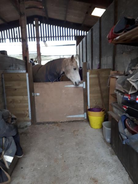 The Treliever Equestrian Centre