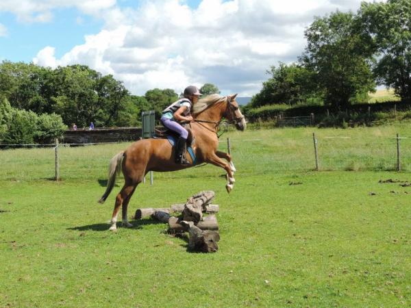 Bank House Equestrian