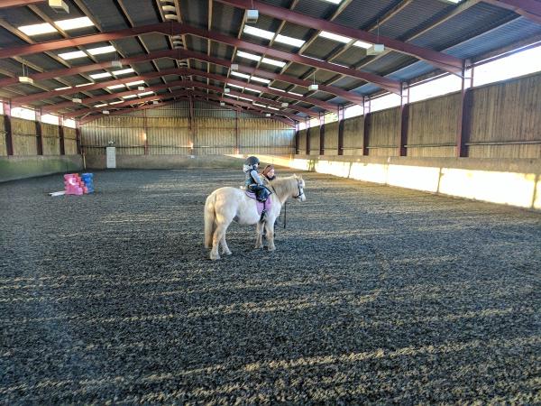 SJ Equestrian Riding Centre