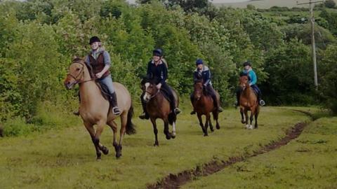 Bosvathick Riding Stables