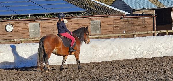 Weeford Stables