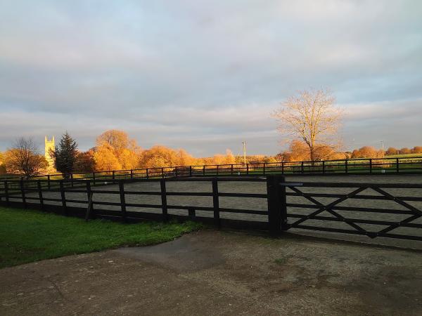 Park Farm Stables.