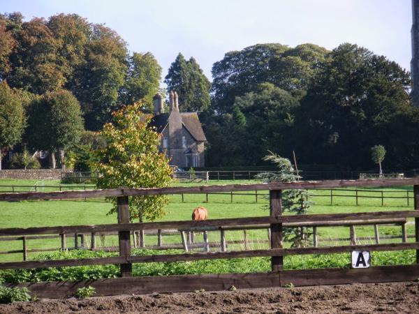 Park Farm Stables.