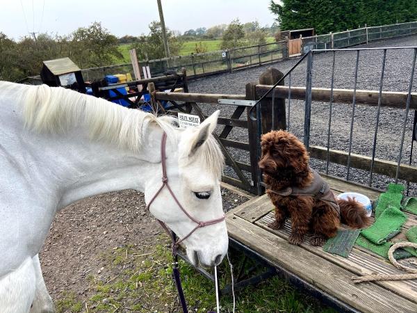 Hundleby Riding Centre