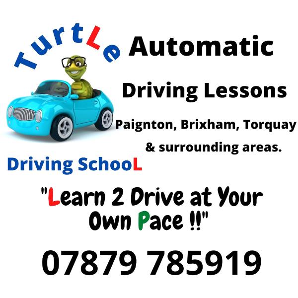 Turtle Driving School