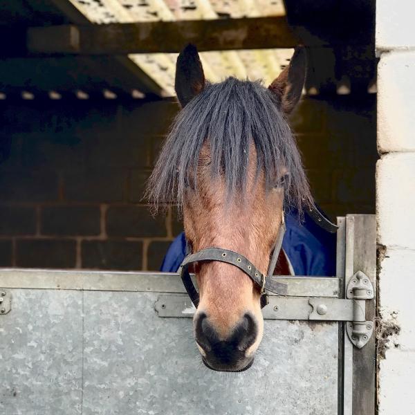 Trentvalley Equestrian Centre LLP