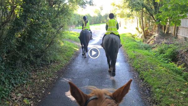 Wayside Stables